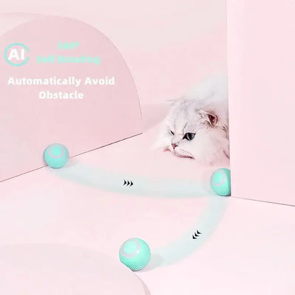 Crazy interactive ball for cats and dogs