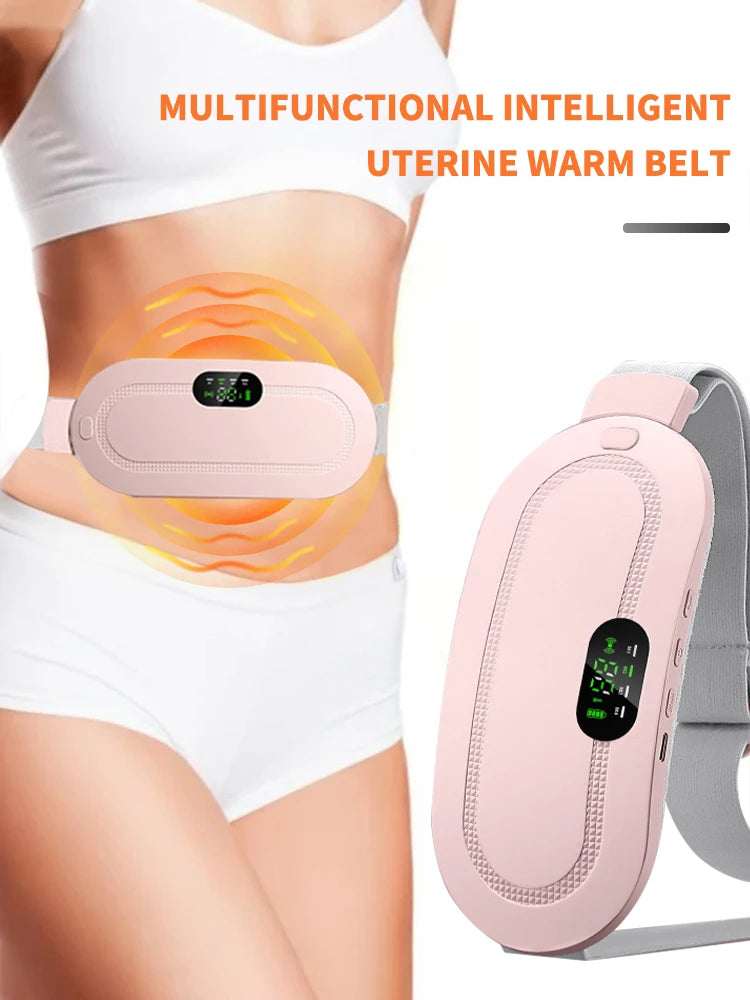 WarmEase Electric Waist Massager