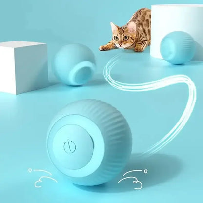 Crazy interactive ball for cats and dogs