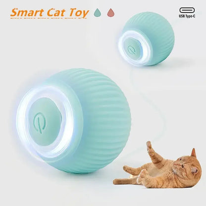 Crazy interactive ball for cats and dogs